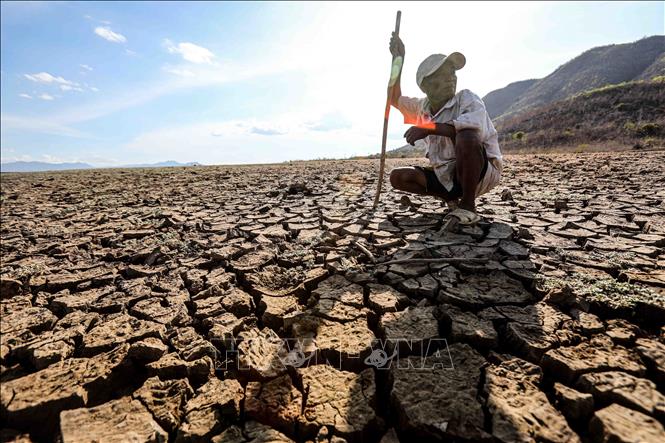 Hiện tượng El Nino gây nắng hạn, áp lực lớn lên ngành điện tại nhiều quốc gia